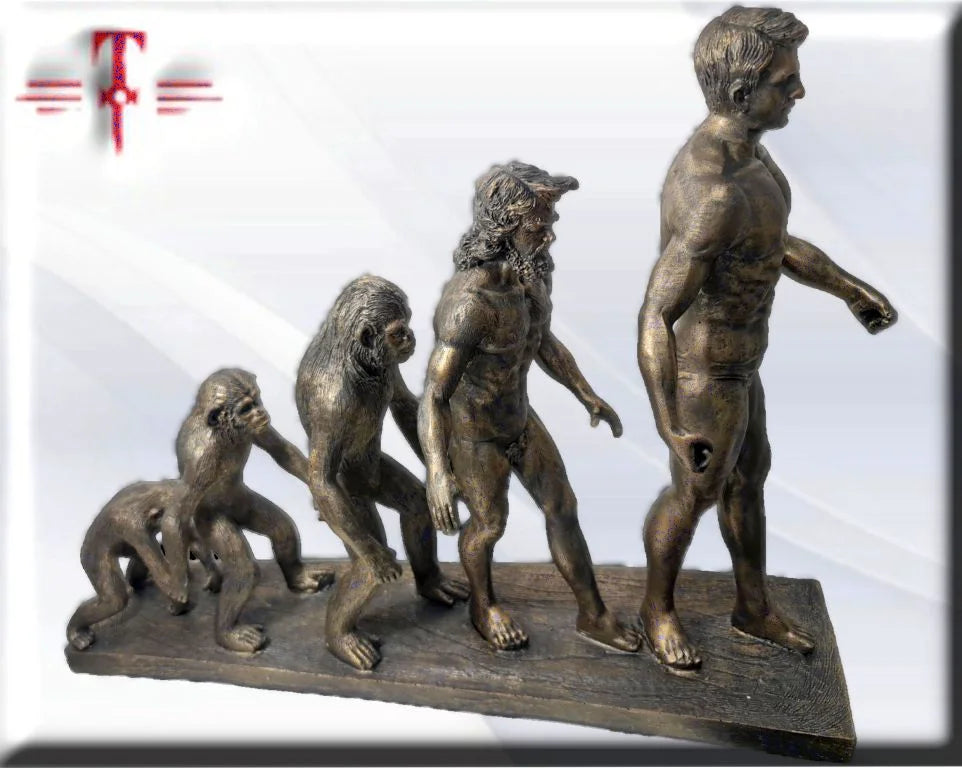 Escultura evolución humana