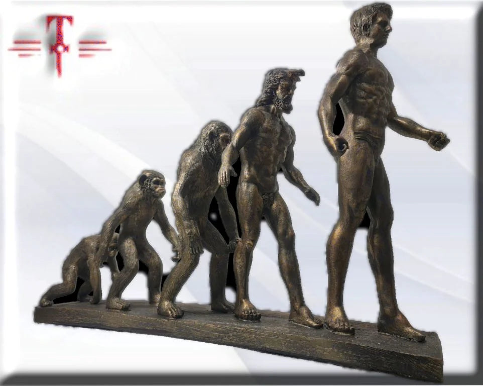 Escultura evolución humana