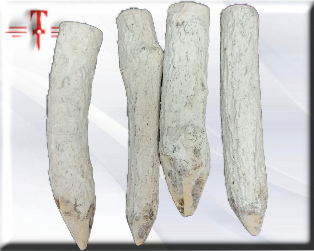 Estacas de Protección , Vodun Mami Wata , African vodun