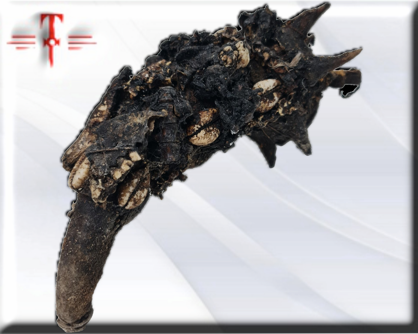 Olugbohun-Kraftfetisch, afrikanisches Amulett, Geheimnisse von Vodun