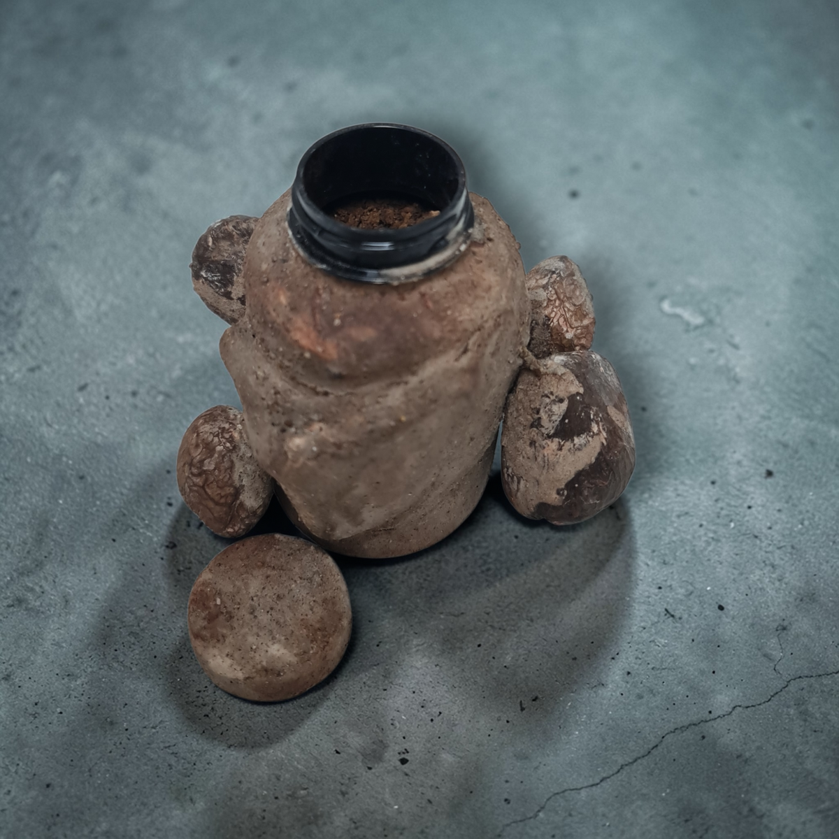 Bote semillas PROTECCION BRUJERIA , secretos del vodoun Fon