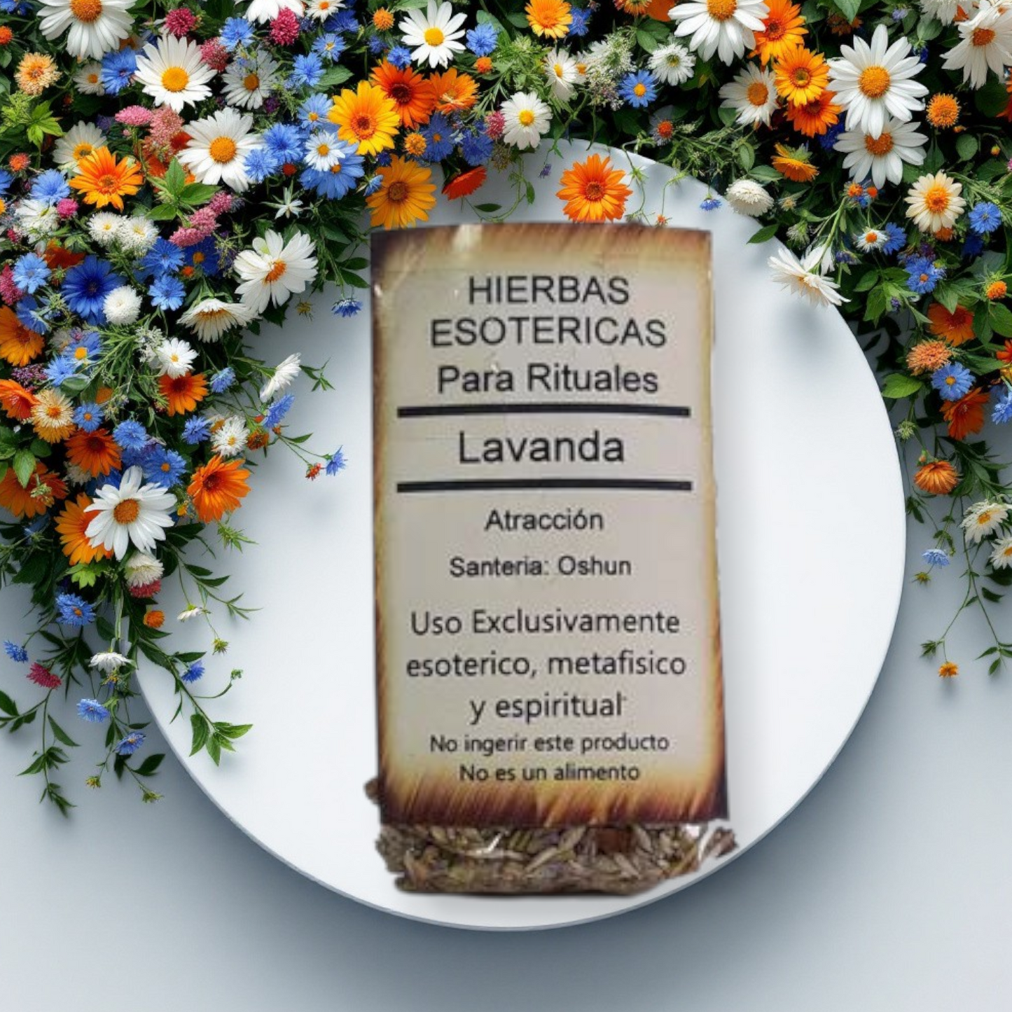 Lavanda