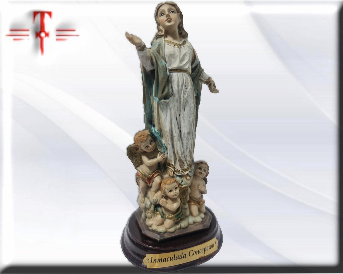 Virgen Inmaculada concepcion , virgenes y santos catolicos