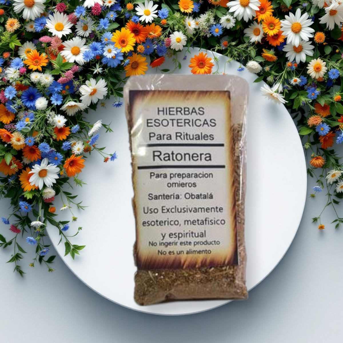Hierba Ratonera