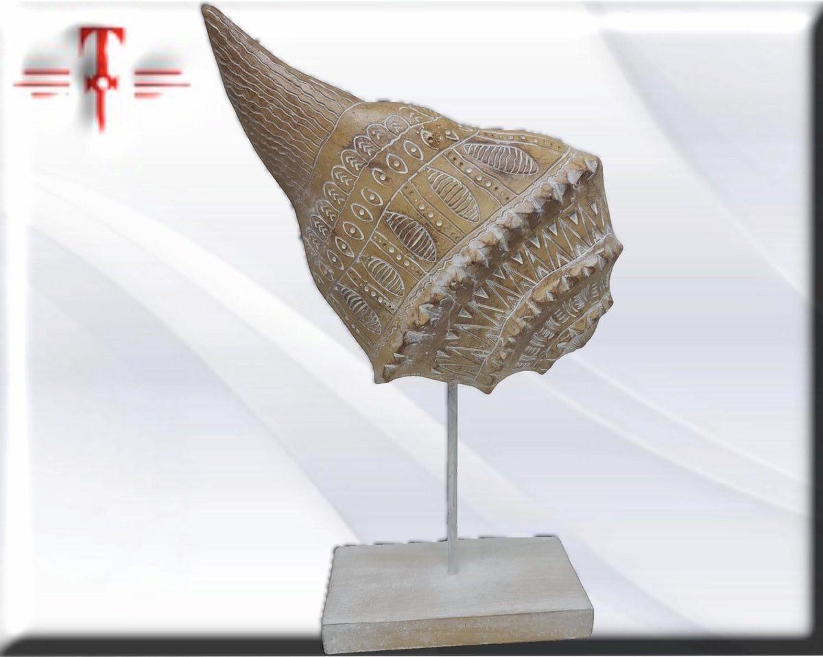 Carved Seashell Mystical Home Decor