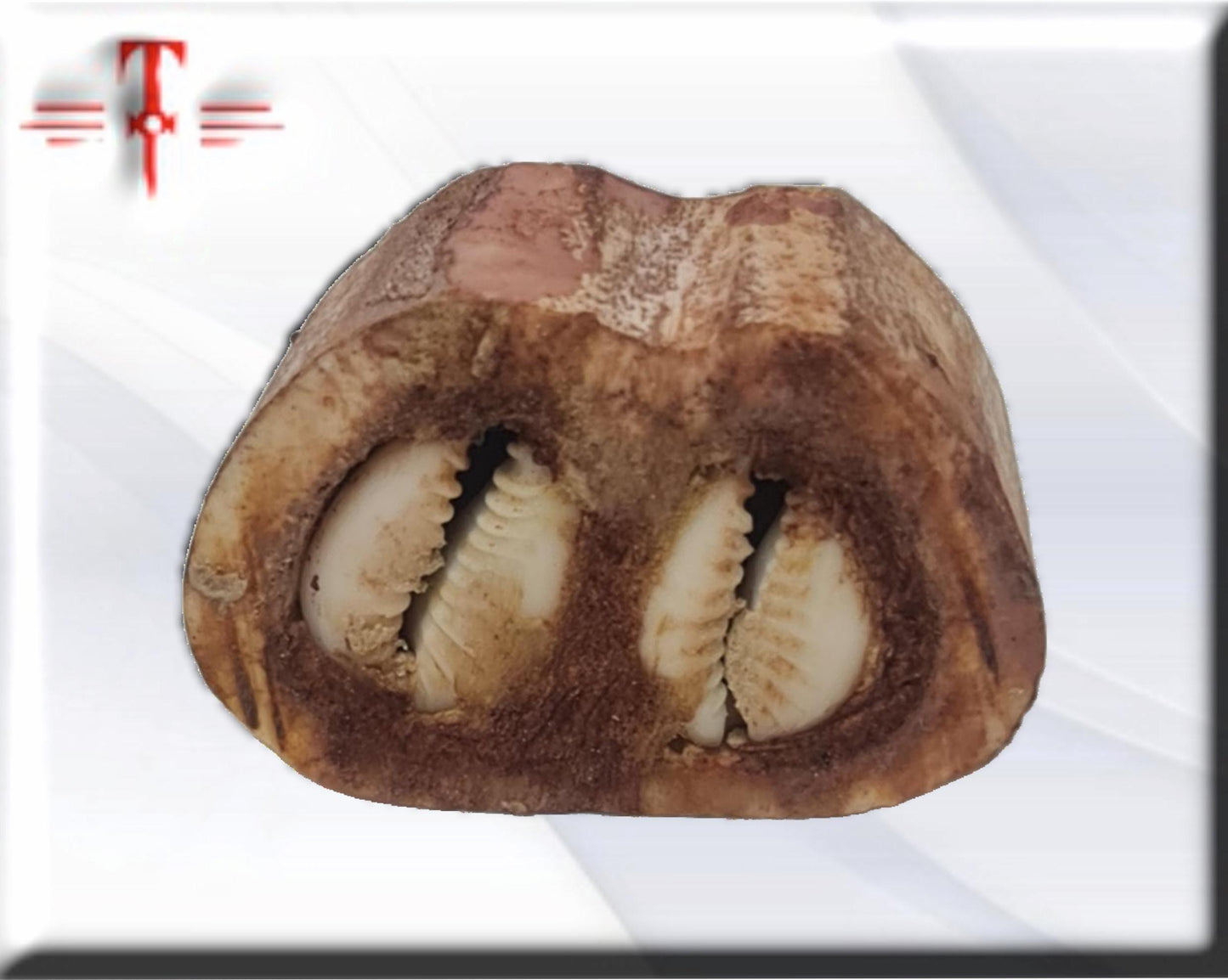 Amulett gegen Neid und Streit, Originalprodukt aus Benin