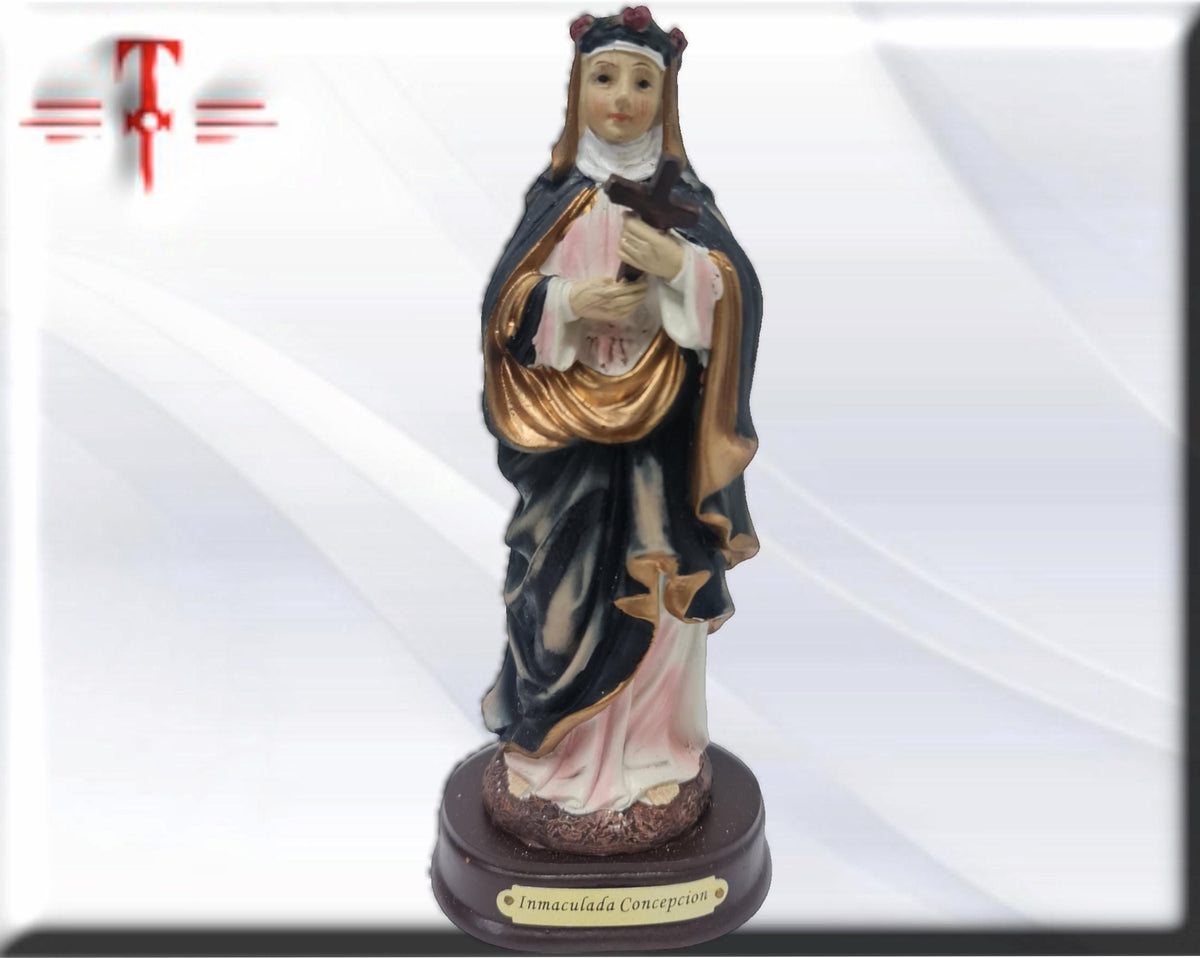 Virgen Inmaculada concepcion , virgenes y santos catolicos