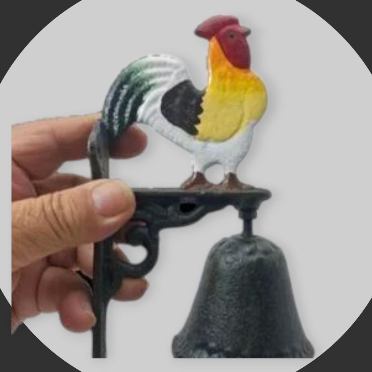 campana gallo