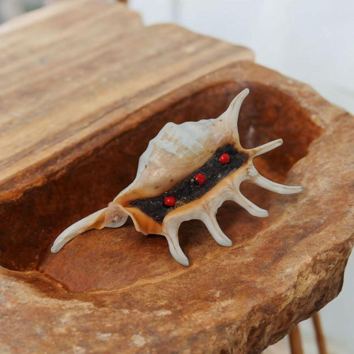 Heviesso-Amulett gewinnt Gerichtsverfahren, Originalprodukt aus Benin