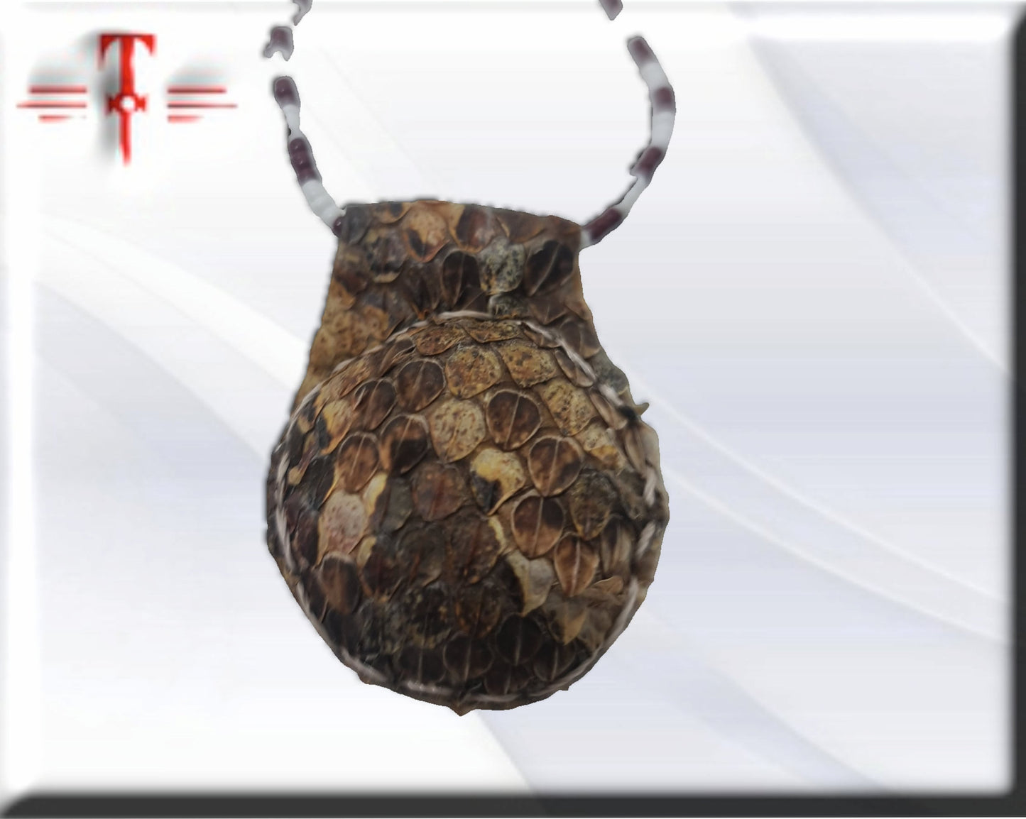 Afrikanisches Schlangenamulett, Hexereischutz, Pythontempel, Vodun-Geheimnisse, Traditionelle afrikanische Kunst