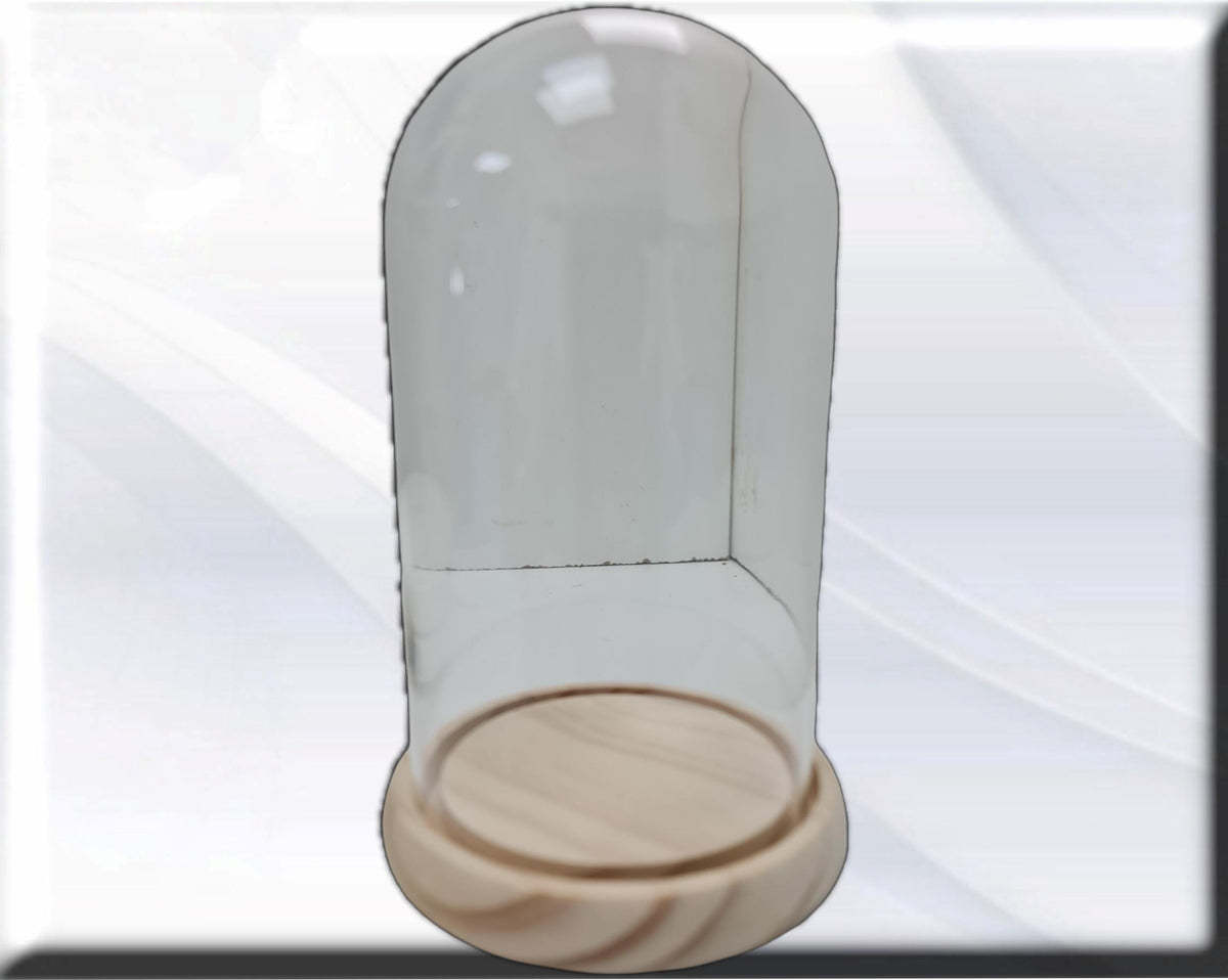 glass dome for Saint . Catholic Saints and Virgins, Religious products,