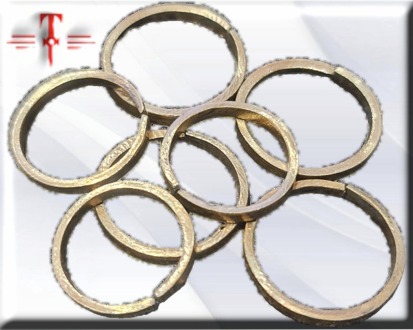 Ring des Schutzes, Vodun Agué, Gott des Dschungels, Fon-System von Benin