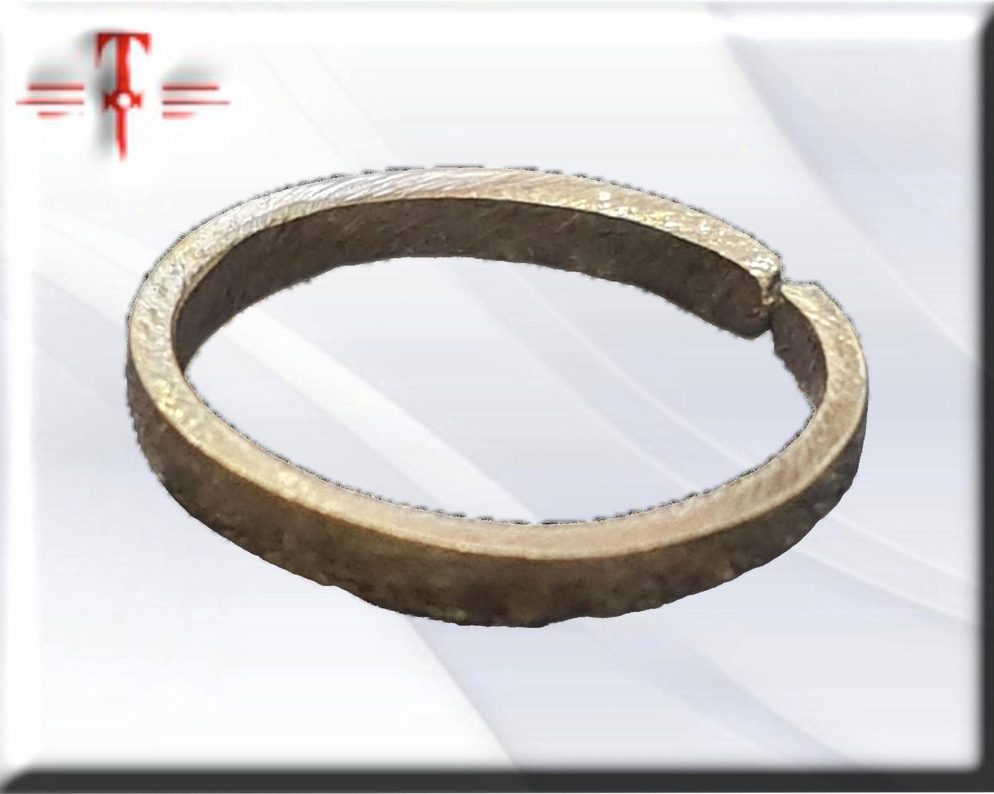 Ring des Schutzes, Vodun Agué, Gott des Dschungels, Fon-System von Benin
