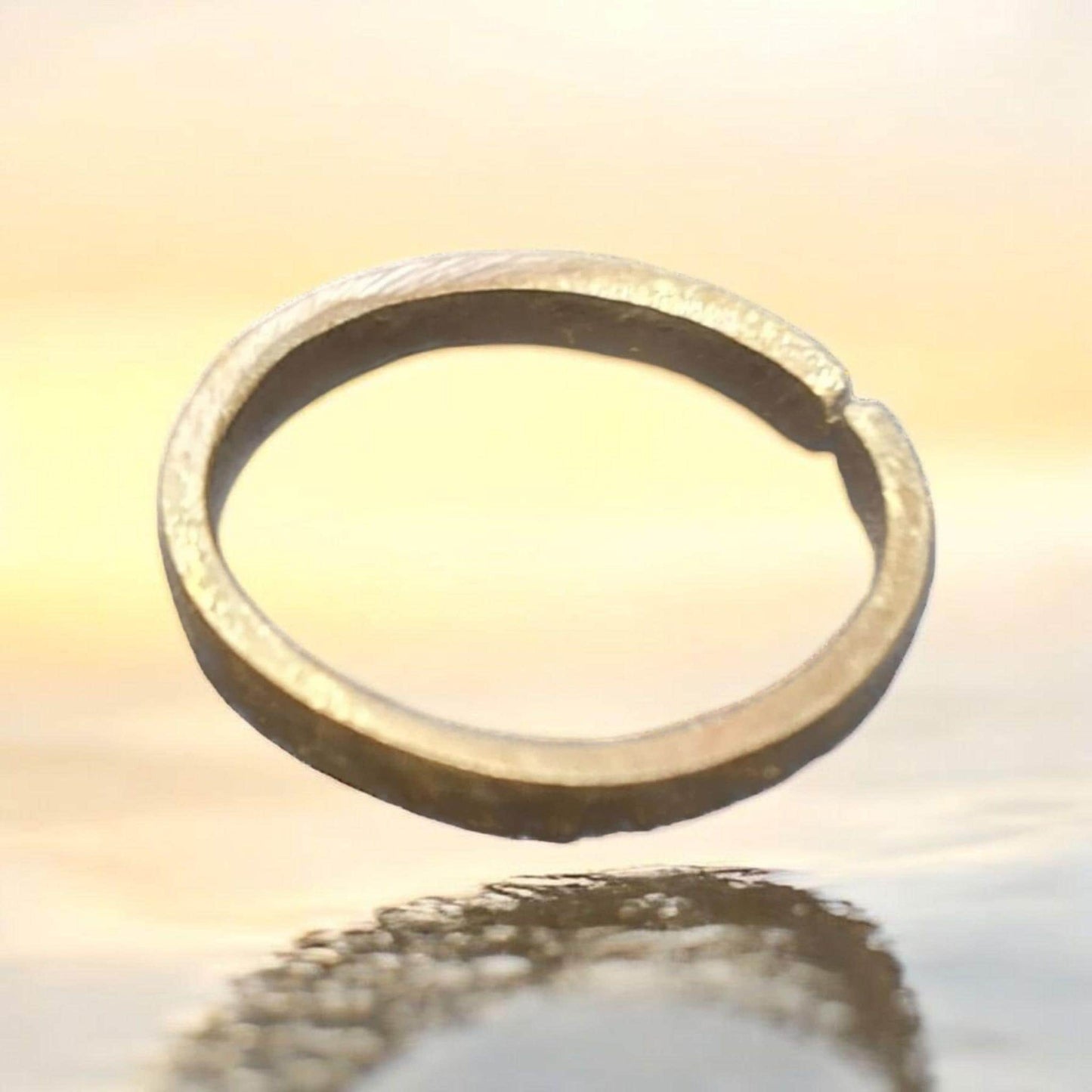 Ring des Schutzes, Vodun Agué, Gott des Dschungels, Fon-System von Benin