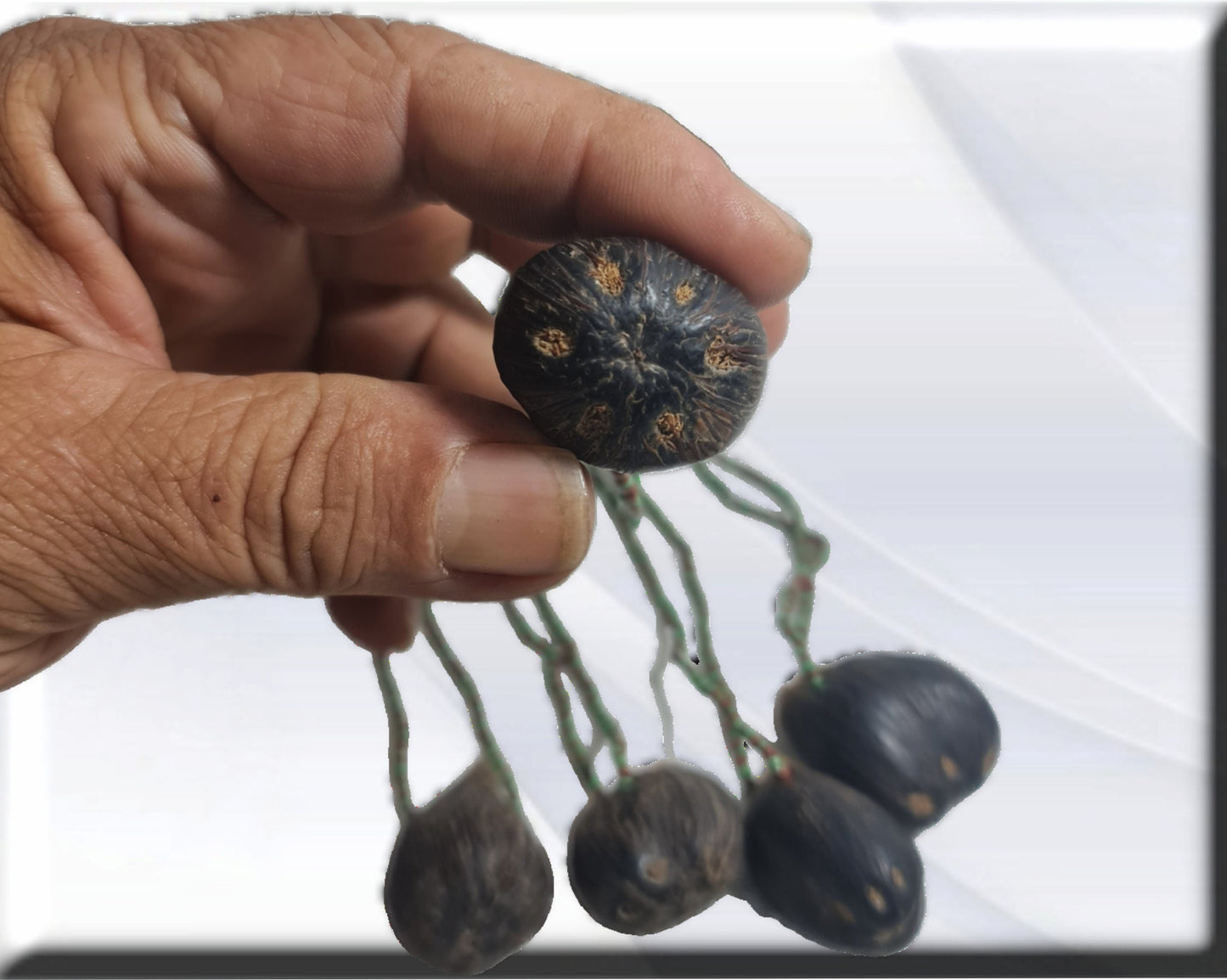 Ifá-Schutzkette mit 6 Augen von Oduso Ikin, ritualisierter afrikanischer Anhänger
