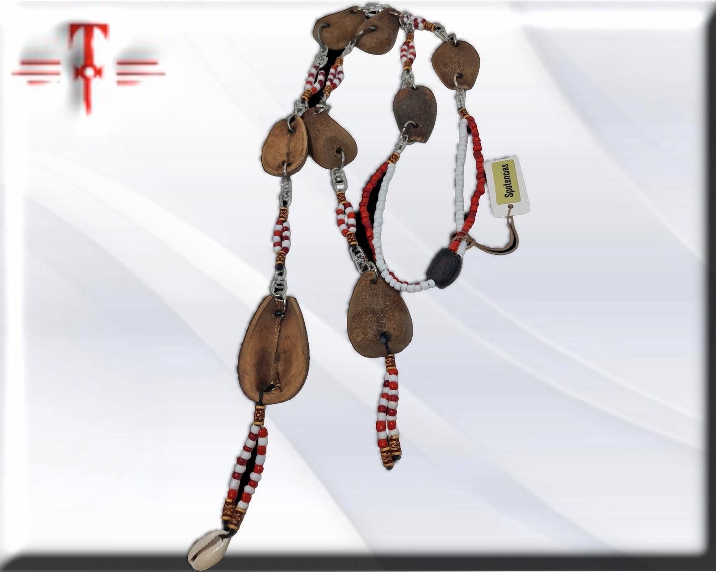 Afrikanische Ekuele, Shango, Ifá-Samen, Opele Egbère. Santeria Babalawo